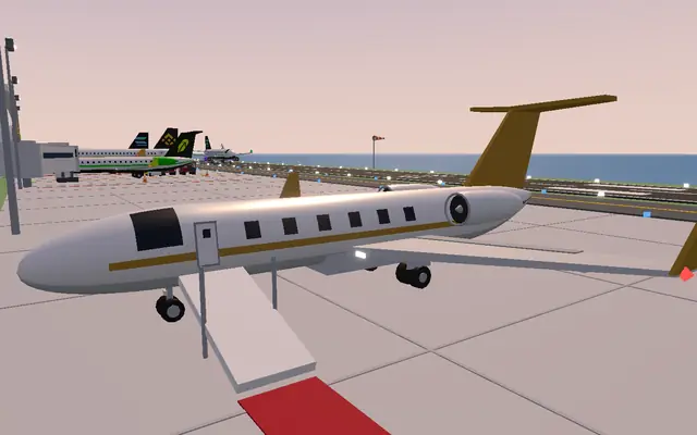 Own a private jet